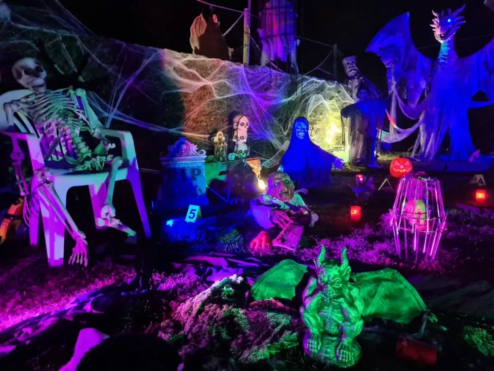 Halloween Garten 2022, Bild 3