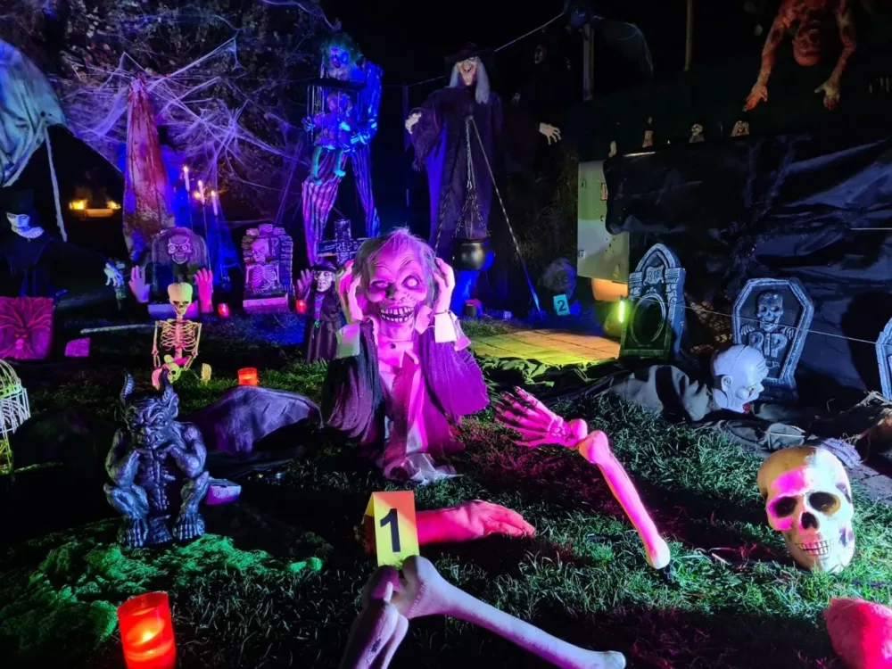 Halloween Garten 2023, Bild 1