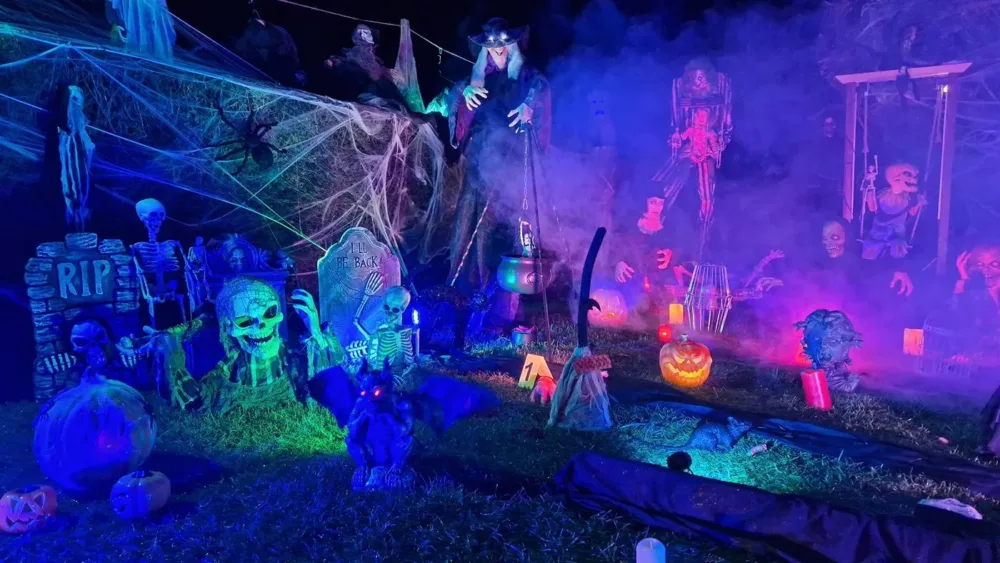 Halloween Garten 2023, Bild 2