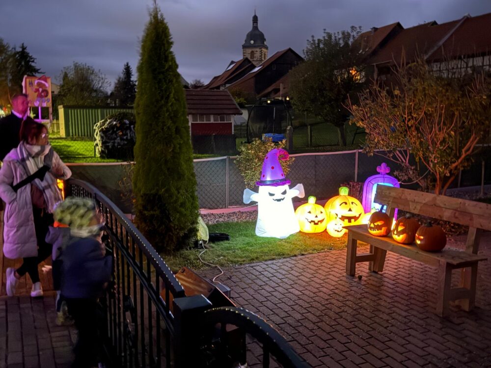 Halloween Garten 2024, Bild 3