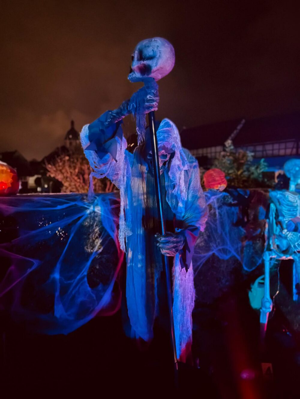 Halloween Garten 2024, Bild 4