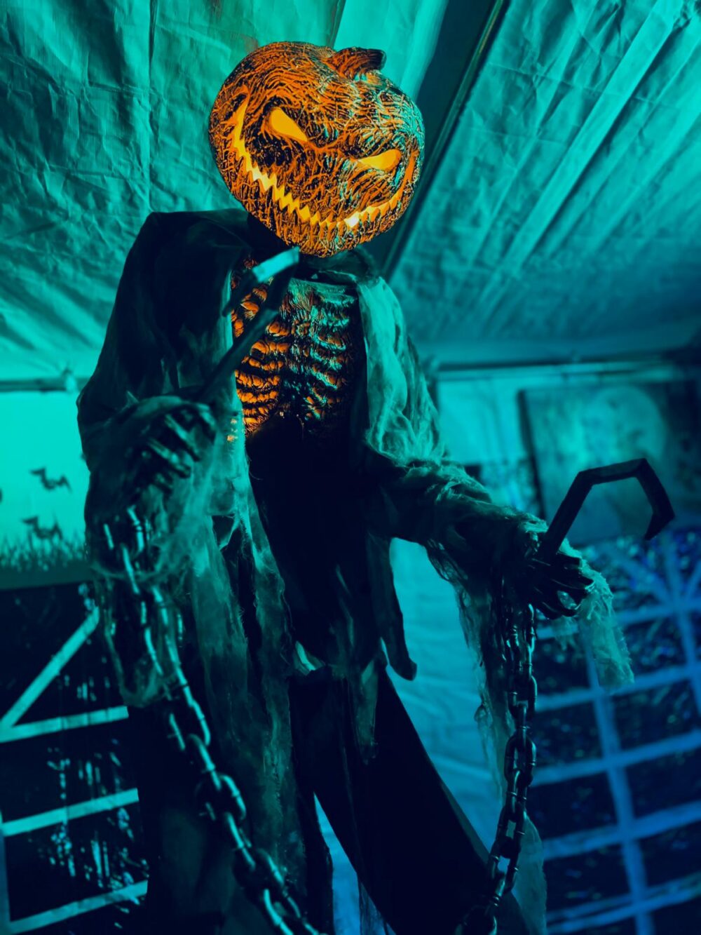 Halloween Garten 2024, Bild 5