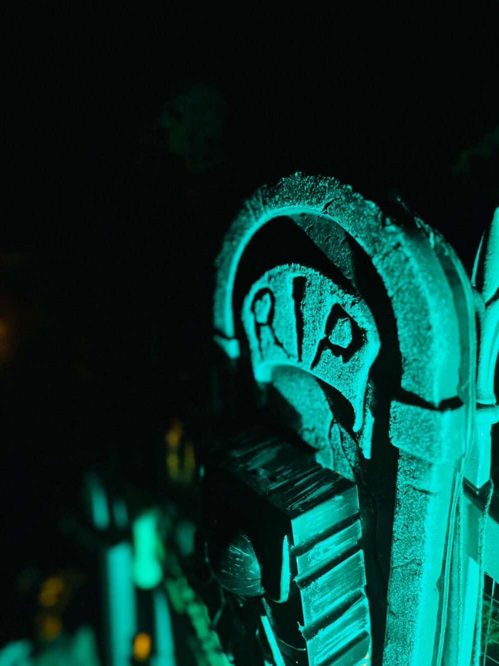 Halloween Garten 2024, Bild 7