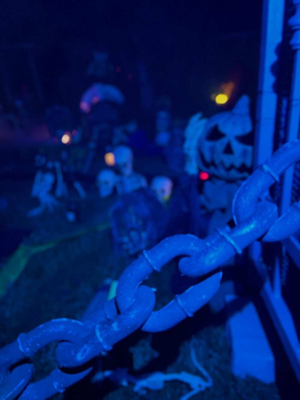Halloween Garten 2024, Bild 9