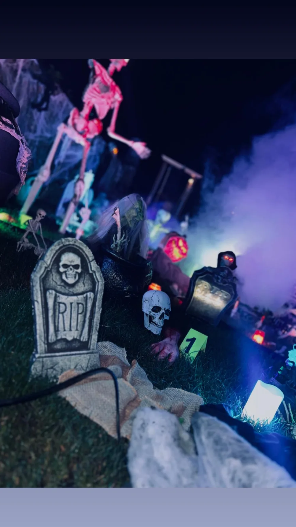 Halloween Garten 2024, Bild 2