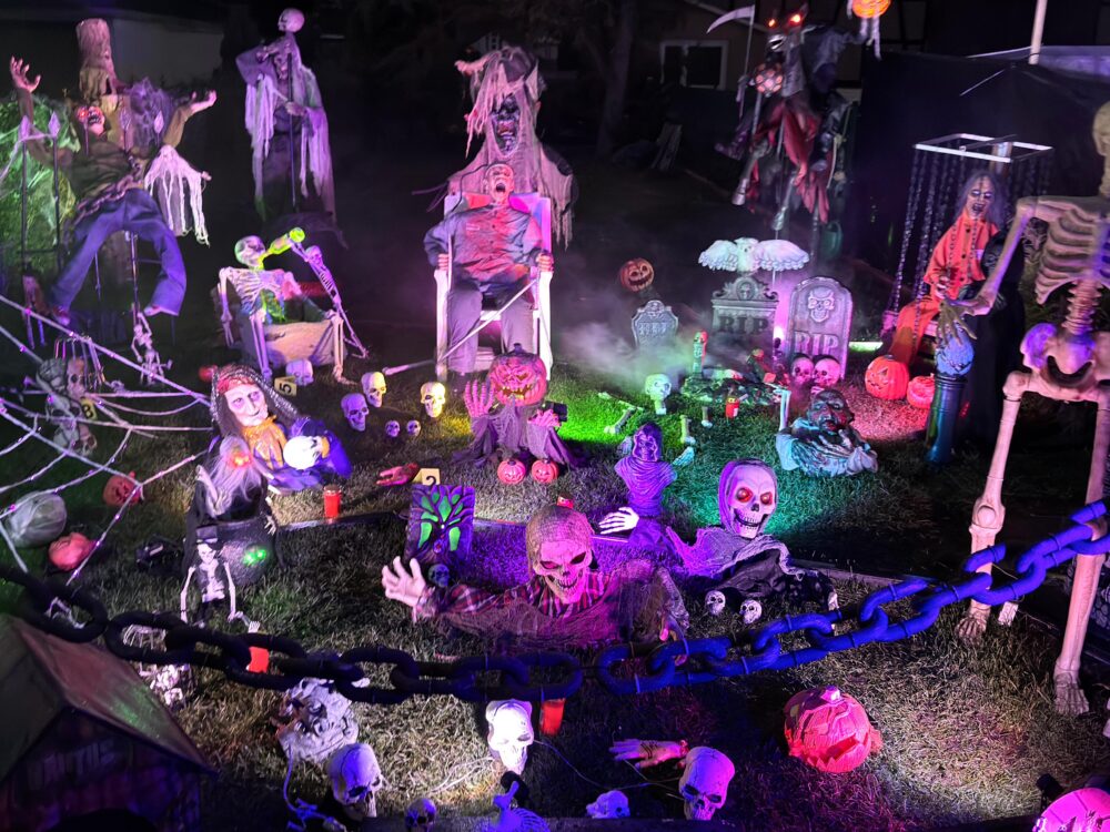 Halloween Garten 2025, Bild 5