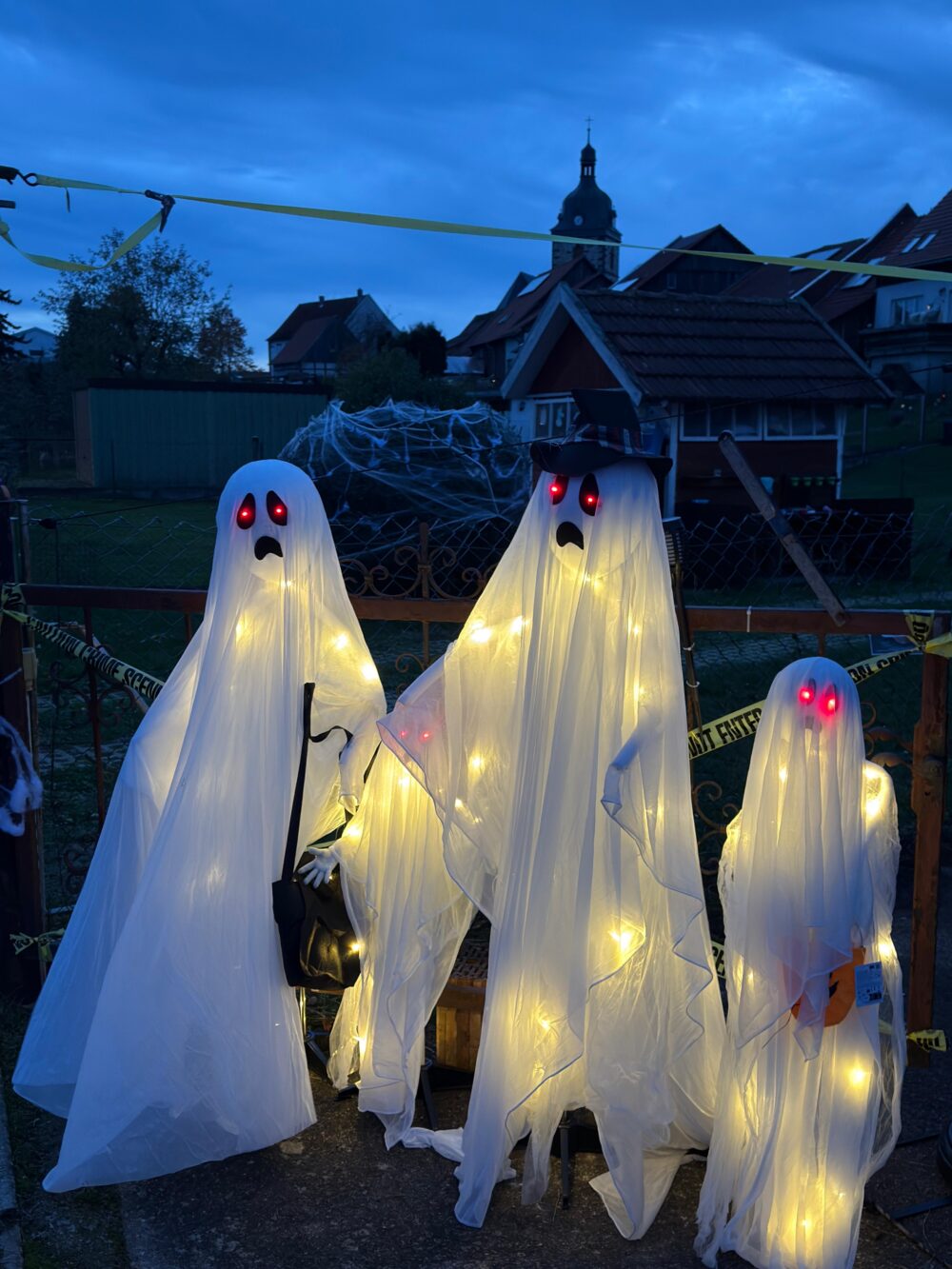 Halloween Garten 2025, Bild 6