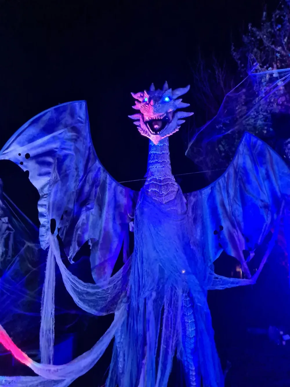 Blau beleuchteter Drache mit ausgebreiteten Flügeln